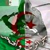 tarektameur1