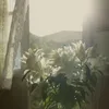 nsang_2205