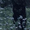 sashka_cool8