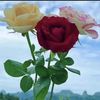 abdullah_l12