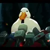 hehecocuccut