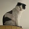 yeahllow_