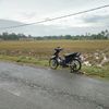 riil725