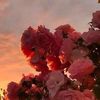 user61201220630368