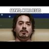 yalusa.sineke