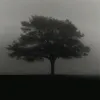 sleeplesssilence_