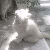 nouraaa_1211