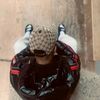 marouan529