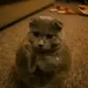 whatsthemeaningofliving7