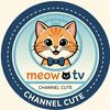 meow🐱