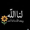 emmohammadhalika