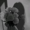 sof_____ia1