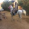 user5696616719471