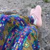 shastiagull0