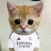 antonio.javier.me