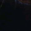 user410127428