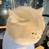 chongbap09