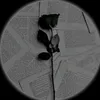 naheda293