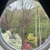 wissemne23_16n