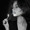 lq_319