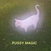 pussymlem