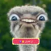 user7846611676682