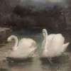 nattieomldrs