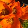 deborahhorton78