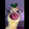dimpho_monama