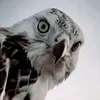 ____fathi_25