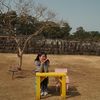 diary_of_joce