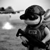 not_kingaxolotl139