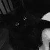sofy_sofy666