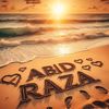 abid_raza_22
