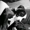 maruu.stto