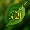 user721724558218
