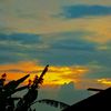 wong_tulospp