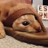 nina.malecic123