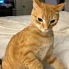 luongluongluongluongg