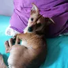 angelina_0767