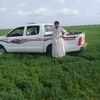 user18397341246611