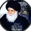 وليد ابو علي