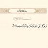 🤍اذكار | ادعيه🤍