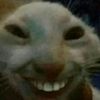 mejiajoses