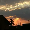 nicolymota29