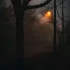_kamxllaaa