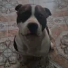 nahusoria2