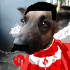 kiannekyllecapuno