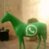 elleoesquizo