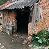 vieminb3